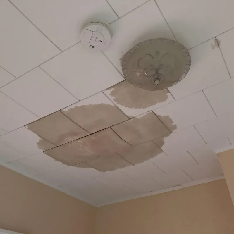 Ceiling Water Damage Repair in Shackle Island, TN