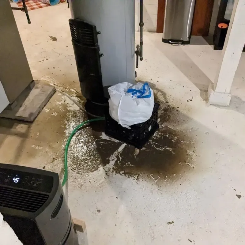 Sewage Backup Cleanup Service in Shackle Island, TN